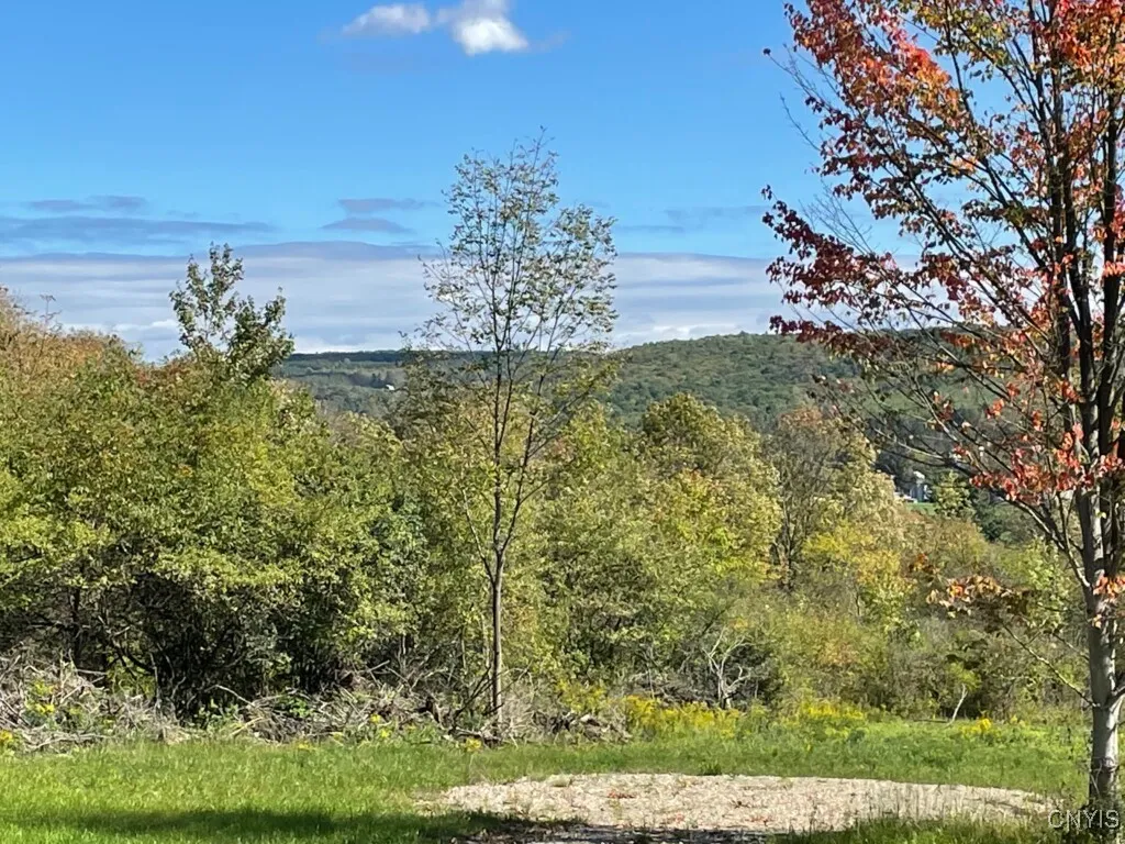 8302 Basswood Hill Road, Allen, New York 14709, Allen, New York 14709, ,Land,Closed,8302 Basswood Hill Road, Allen, New York 14709,0,S1591991