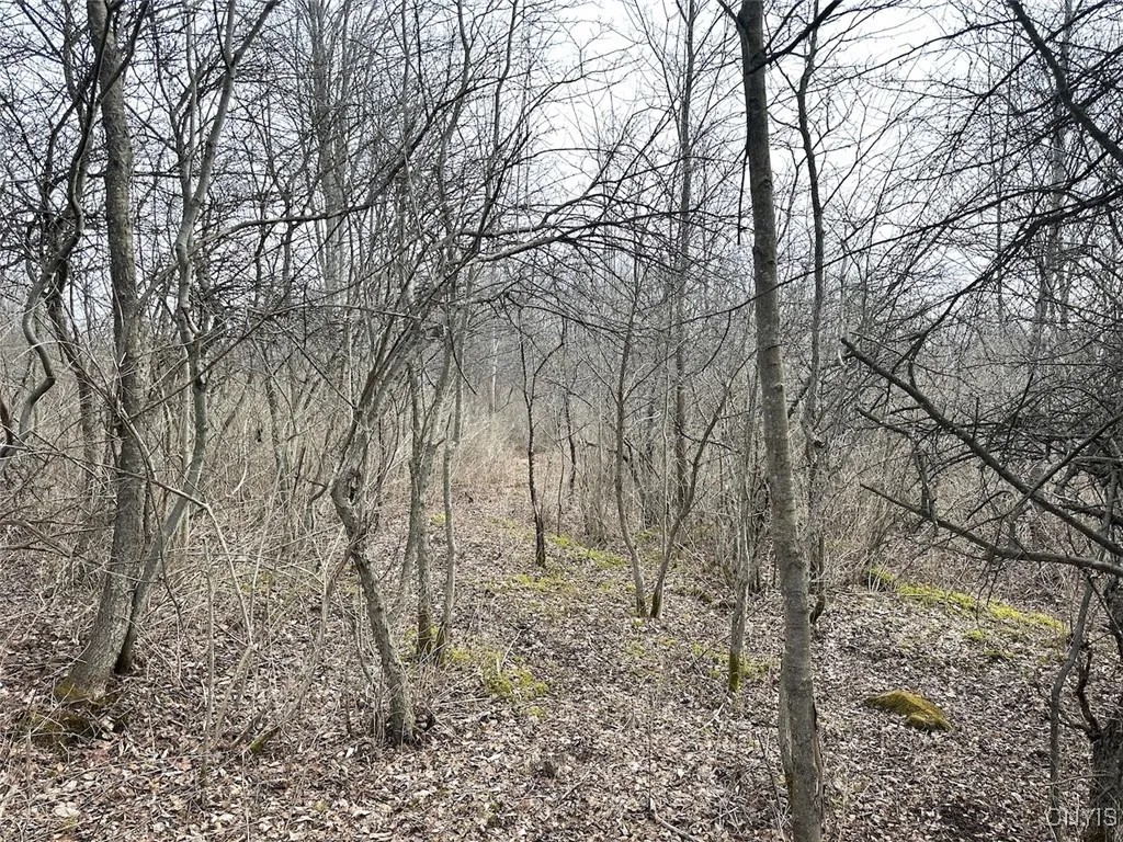 8302 Basswood Hill Road, Allen, New York 14709, Allen, New York 14709, ,Land,Closed,8302 Basswood Hill Road, Allen, New York 14709,0,S1591991