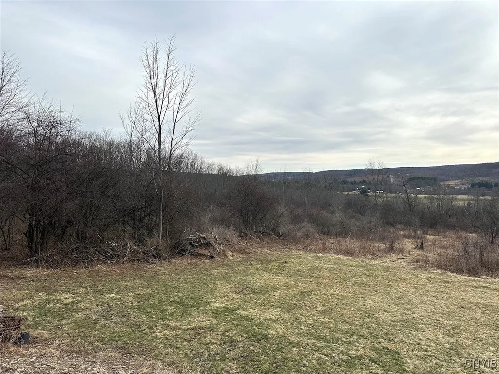 8302 Basswood Hill Road, Allen, New York 14709, Allen, New York 14709, ,Land,Closed,8302 Basswood Hill Road, Allen, New York 14709,0,S1591991