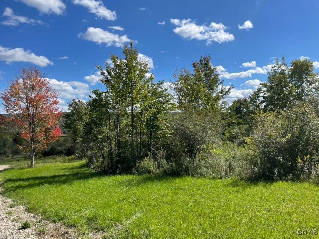 8302 Basswood Hill Road, Allen, New York 14709, Allen, New York 14709, ,Land,Closed,8302 Basswood Hill Road, Allen, New York 14709,0,S1591991