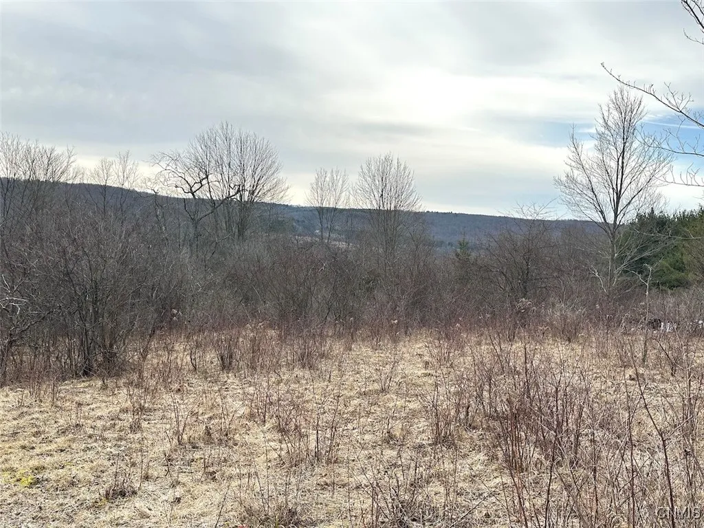 8302 Basswood Hill Road, Allen, New York 14709, Allen, New York 14709, ,Land,Closed,8302 Basswood Hill Road, Allen, New York 14709,0,S1591991