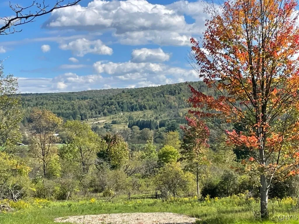 8302 Basswood Hill Road, Allen, New York 14709, Allen, New York 14709, ,Land,Closed,8302 Basswood Hill Road, Allen, New York 14709,0,S1591991