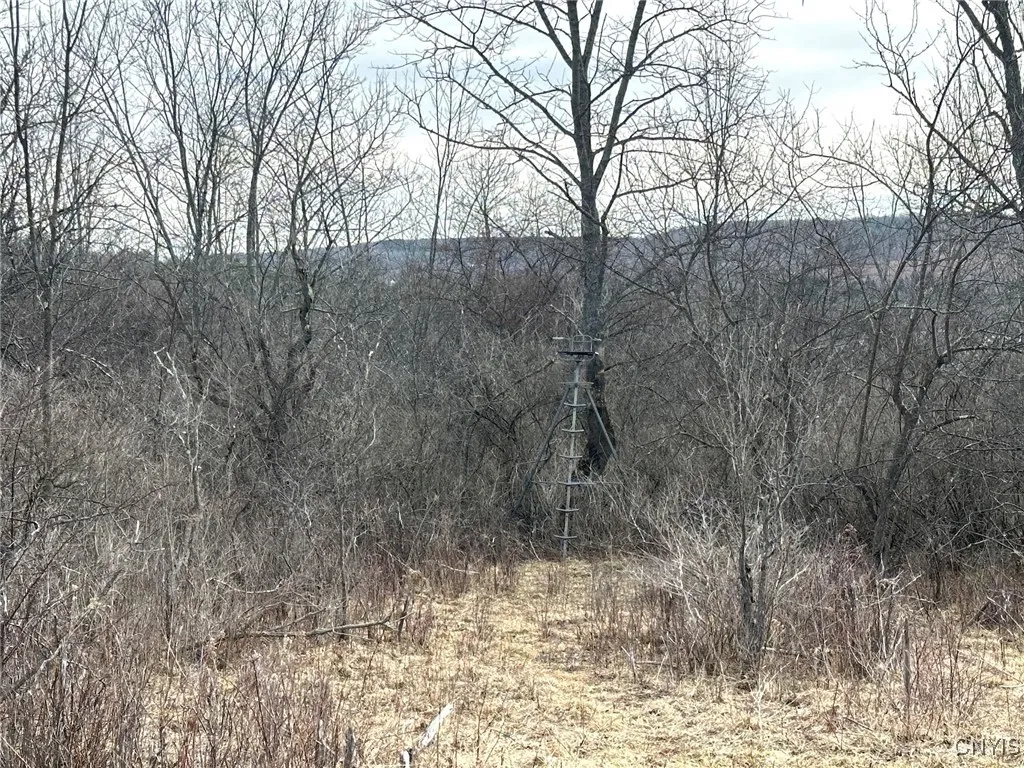 8302 Basswood Hill Road, Allen, New York 14709, Allen, New York 14709, ,Land,Closed,8302 Basswood Hill Road, Allen, New York 14709,0,S1591991