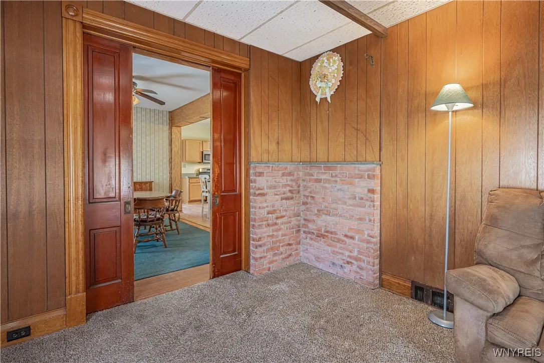 Pocket Doors