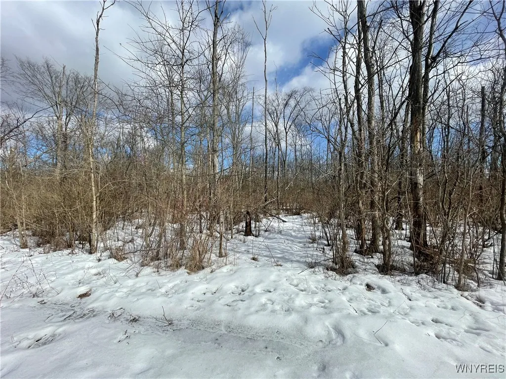 6721 Aiken Road, Pendleton, New York 14094, Pendleton, New York 14094, 4 Bedrooms Bedrooms, 7 Rooms Rooms,2 BathroomsBathrooms,Residential,For Sale,6721 Aiken Road, Pendleton, New York 14094,0,B1591924