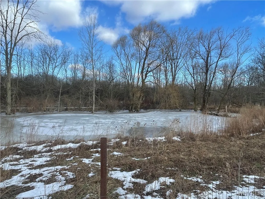 6721 Aiken Road, Pendleton, New York 14094, Pendleton, New York 14094, 4 Bedrooms Bedrooms, 7 Rooms Rooms,2 BathroomsBathrooms,Residential,For Sale,6721 Aiken Road, Pendleton, New York 14094,0,B1591924