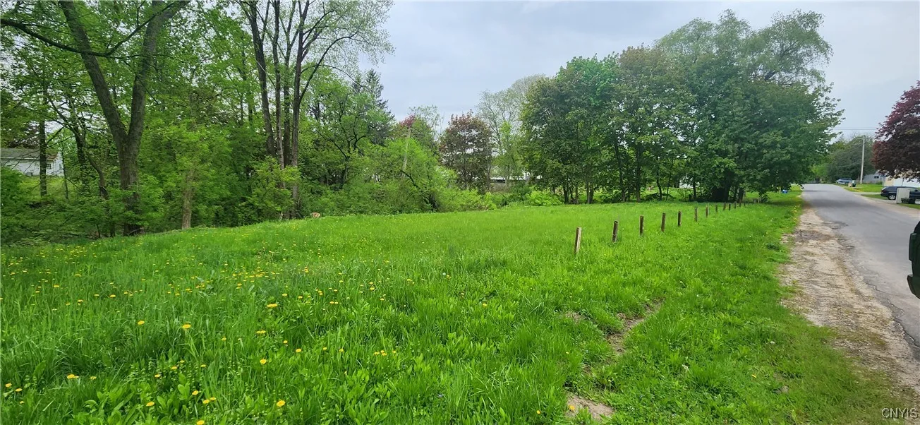 109 Gladys Street, Utica, New York 13502, Utica, New York 13502, ,Land,For Sale,109 Gladys Street, Utica, New York 13502,0,S1592272