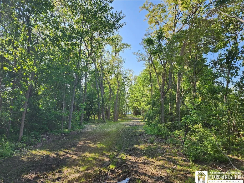 East Lake Road, Westfield, New York 14787, Westfield, New York 14787, ,Land,For Sale,East Lake Road, Westfield, New York 14787,R1592346