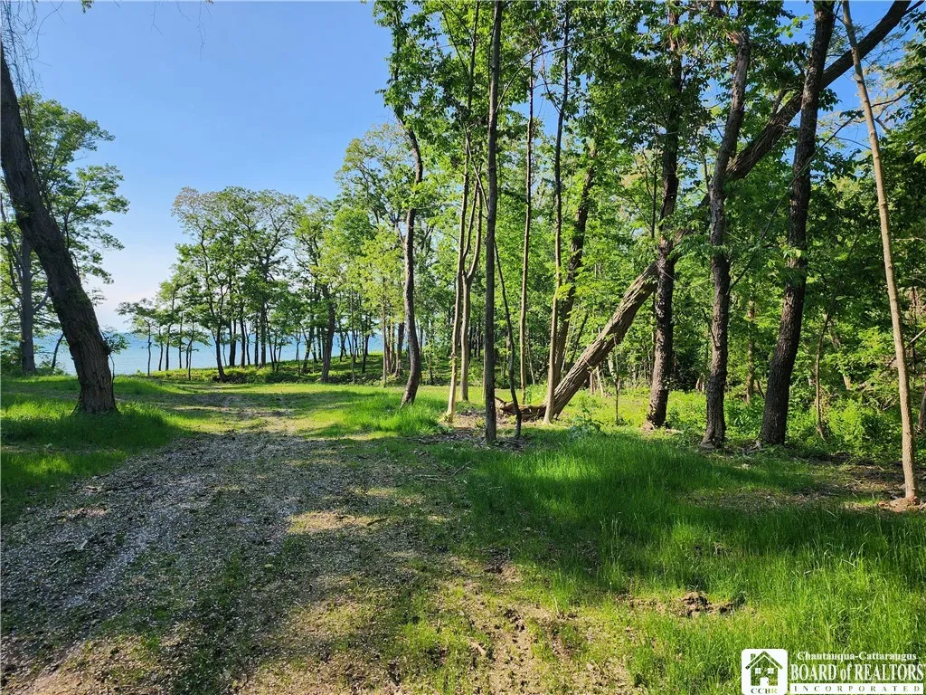 East Lake Road, Westfield, New York 14787, Westfield, New York 14787, ,Land,For Sale,East Lake Road, Westfield, New York 14787,R1592346