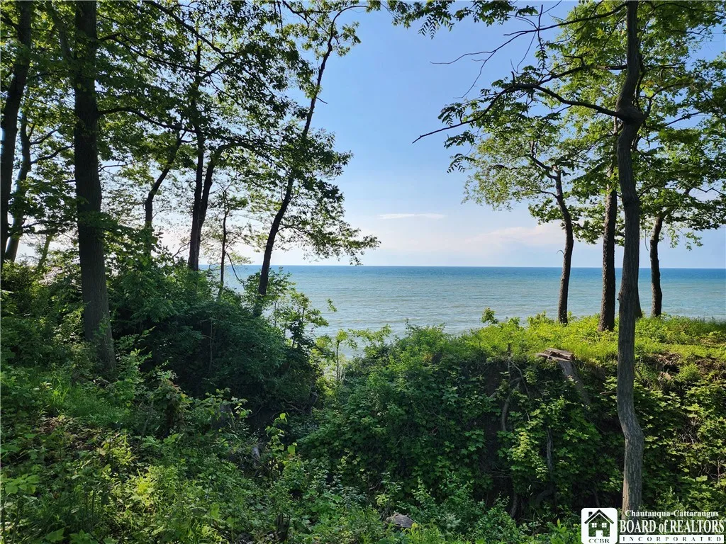 East Lake Road, Westfield, New York 14787, Westfield, New York 14787, ,Land,For Sale,East Lake Road, Westfield, New York 14787,R1592346