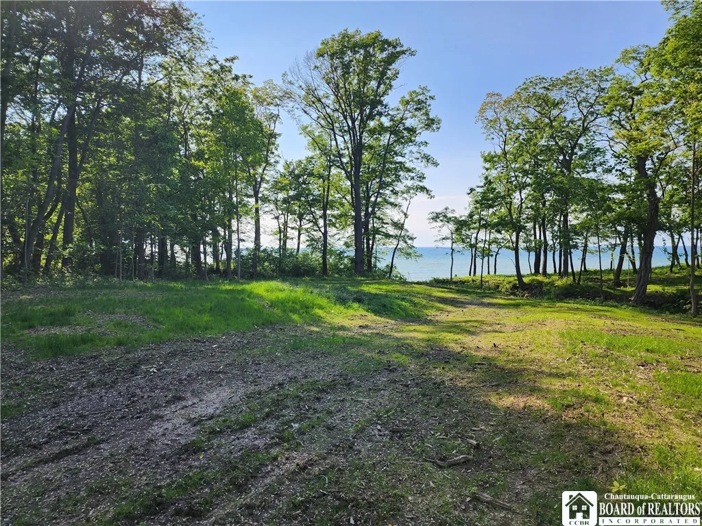 East Lake Road, Westfield, New York 14787, Westfield, New York 14787, ,Land,For Sale,East Lake Road, Westfield, New York 14787,R1592346