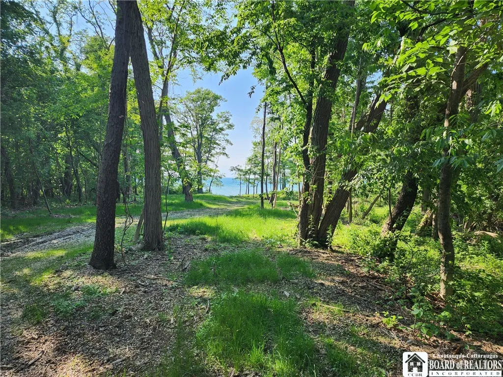 East Lake Road, Westfield, New York 14787, Westfield, New York 14787, ,Land,For Sale,East Lake Road, Westfield, New York 14787,R1592346