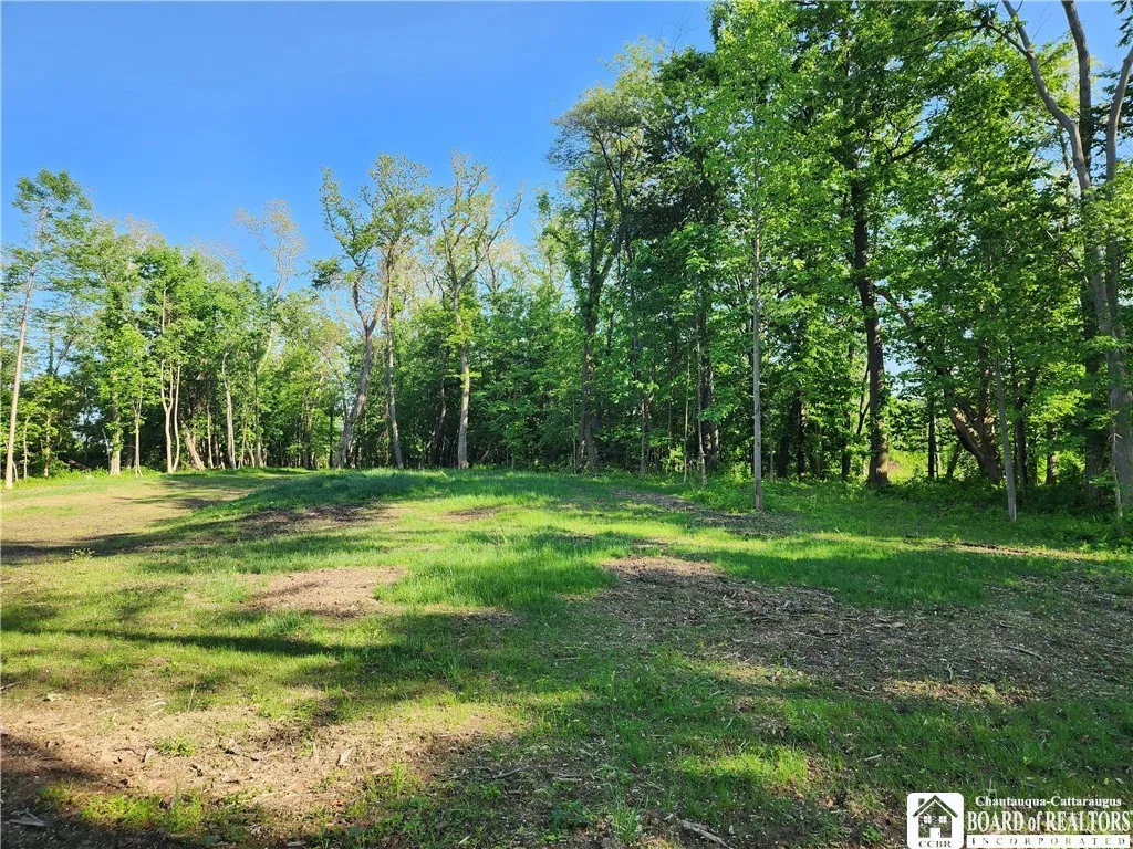 East Lake Road, Westfield, New York 14787, Westfield, New York 14787, ,Land,For Sale,East Lake Road, Westfield, New York 14787,R1592346
