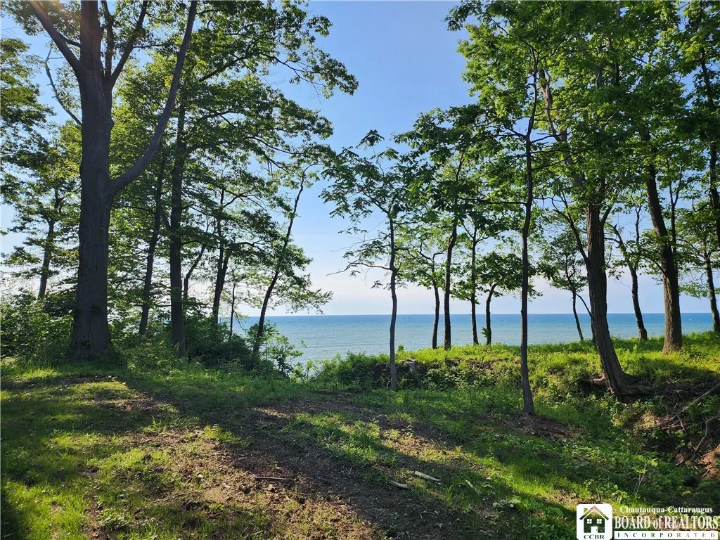 East Lake Road, Westfield, New York 14787, Westfield, New York 14787, ,Land,For Sale,East Lake Road, Westfield, New York 14787,R1592346