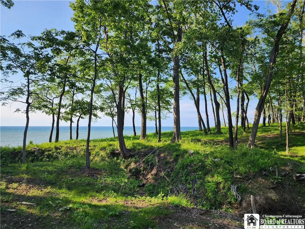 East Lake Road, Westfield, New York 14787, Westfield, New York 14787, ,Land,For Sale,East Lake Road, Westfield, New York 14787,R1592346