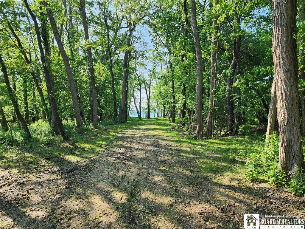 East Lake Road, Westfield, New York 14787, Westfield, New York 14787, ,Land,For Sale,East Lake Road, Westfield, New York 14787,R1592346
