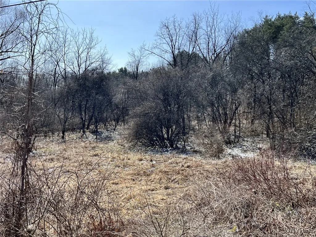0 West Seneca Lot 2 Road, Hector, New York 14886, Hector, New York 14886, ,Land,Closed,0 West Seneca Lot 2 Road, Hector, New York 14886,B1591976
