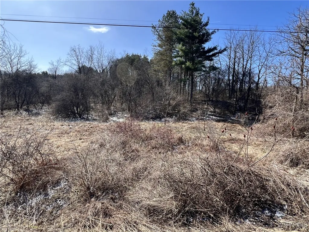 0 West Seneca Lot 2 Road, Hector, New York 14886, Hector, New York 14886, ,Land,Closed,0 West Seneca Lot 2 Road, Hector, New York 14886,B1591976