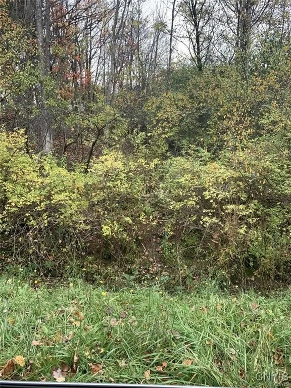 0 Martin Street, Rome-outside, New York 13440, Rome, New York 13440, ,Land,For Sale,0 Martin Street, Rome-outside, New York 13440,0,S1592620