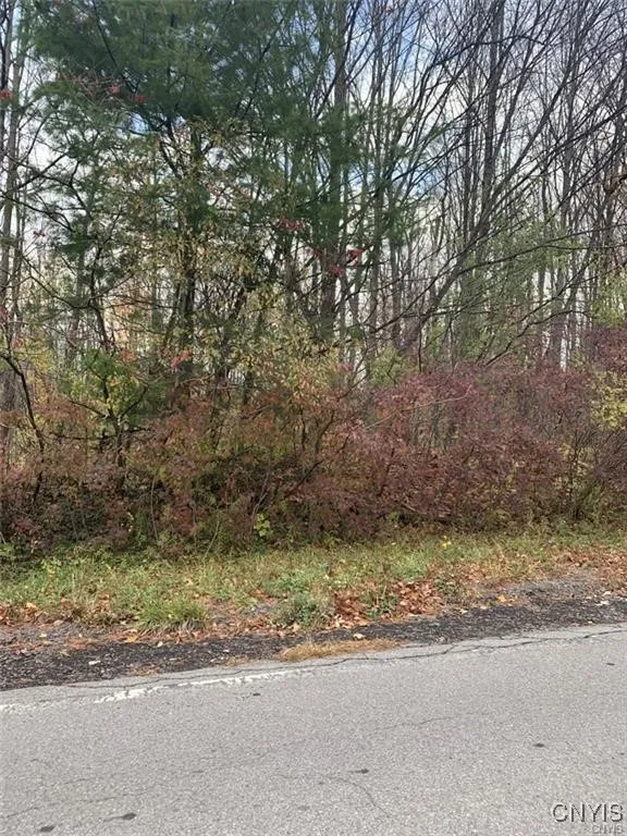 0 Martin Street, Rome-outside, New York 13440, Rome, New York 13440, ,Land,For Sale,0 Martin Street, Rome-outside, New York 13440,0,S1592620