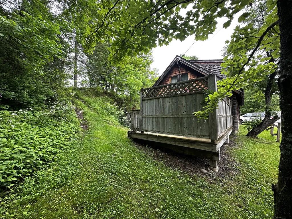 path to upper back yard