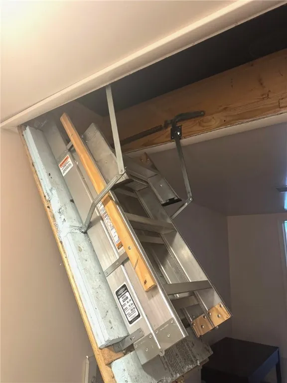 Attic pull down