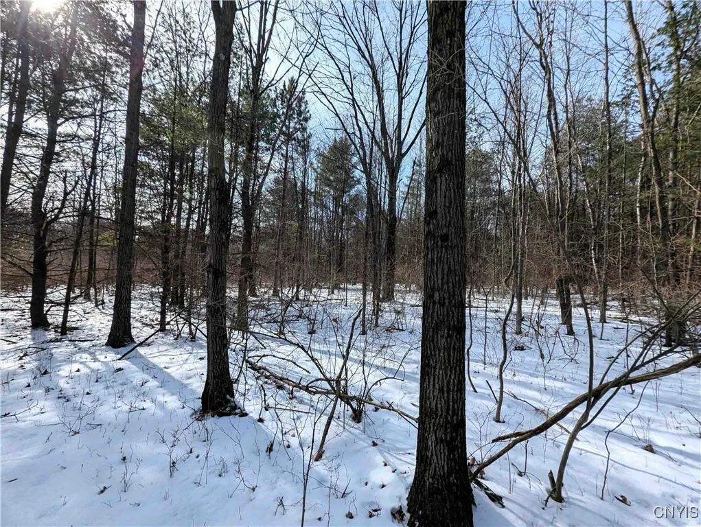Markle Hollow Road, Corning, New York 14814, Corning, New York 14814, ,Land,Closed,Markle Hollow Road, Corning, New York 14814,0,S1592856