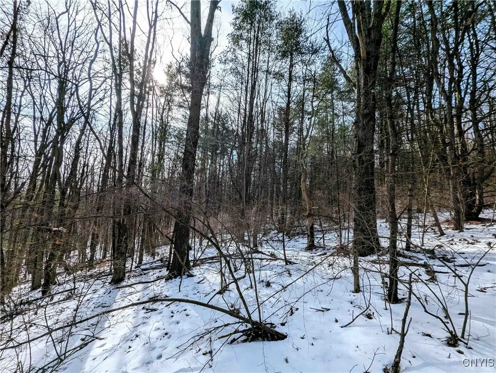 Markle Hollow Road, Corning, New York 14814, Corning, New York 14814, ,Land,Closed,Markle Hollow Road, Corning, New York 14814,0,S1592856