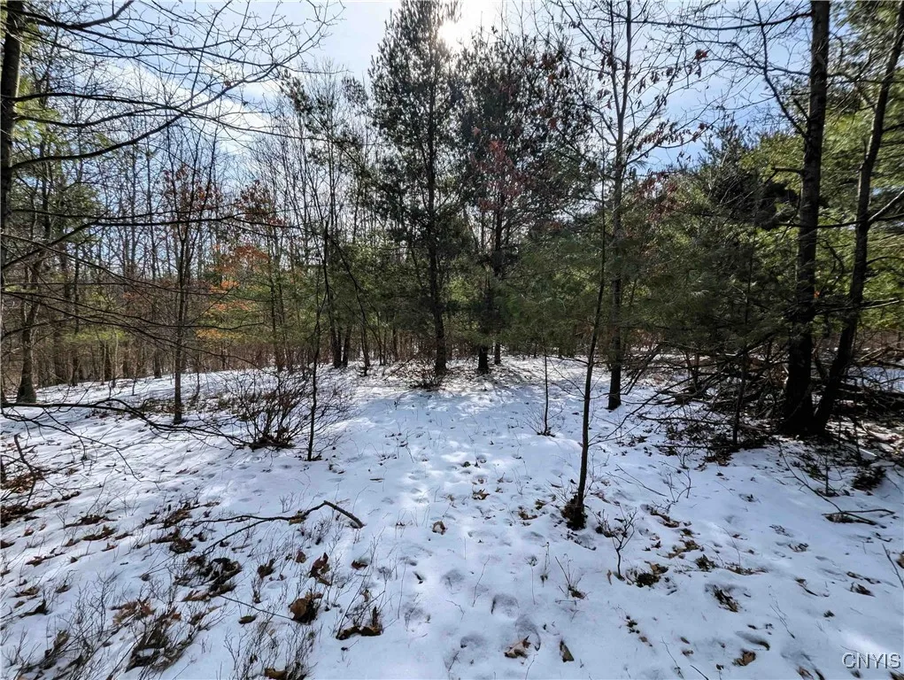 Markle Hollow Road, Corning, New York 14814, Corning, New York 14814, ,Land,Closed,Markle Hollow Road, Corning, New York 14814,0,S1592856