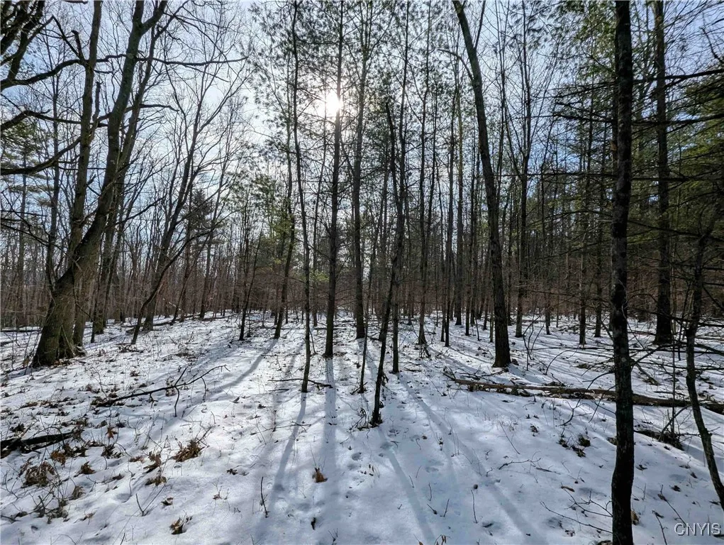 Markle Hollow Road, Corning, New York 14814, Corning, New York 14814, ,Land,Closed,Markle Hollow Road, Corning, New York 14814,0,S1592856