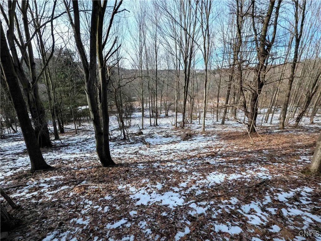 Markle Hollow Road, Corning, New York 14814, Corning, New York 14814, ,Land,Closed,Markle Hollow Road, Corning, New York 14814,0,S1592856