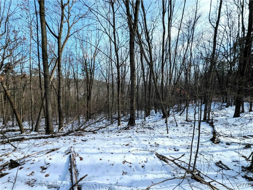 Markle Hollow Road, Corning, New York 14814, Corning, New York 14814, ,Land,Closed,Markle Hollow Road, Corning, New York 14814,0,S1592856