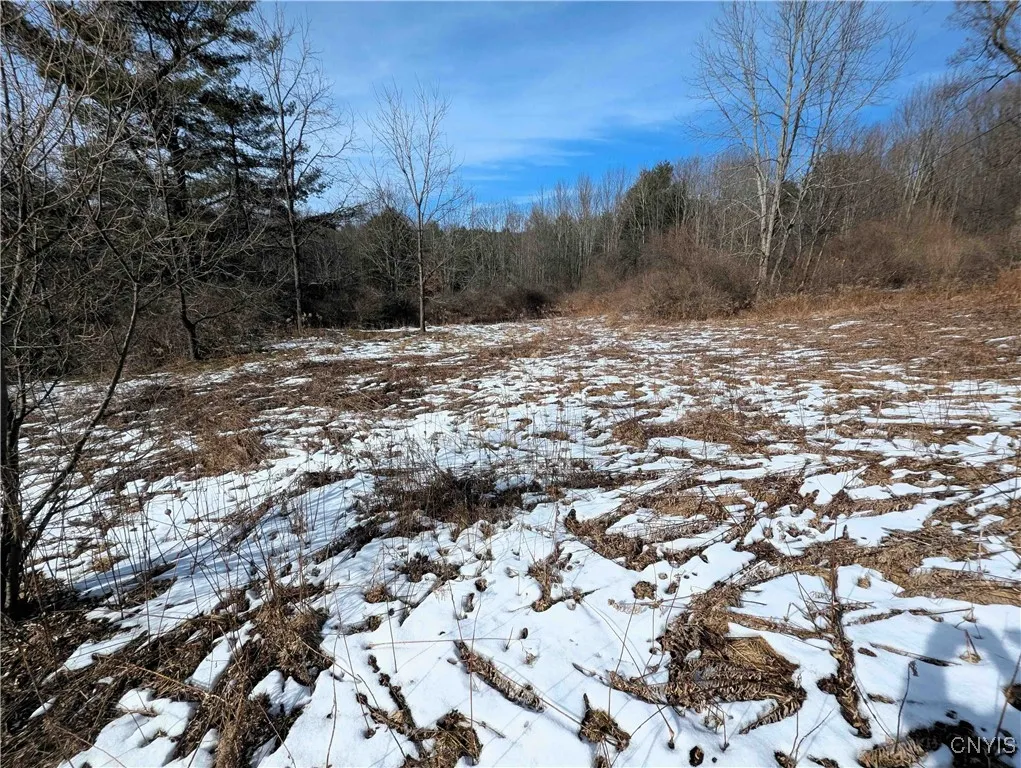 Markle Hollow Road, Corning, New York 14814, Corning, New York 14814, ,Land,Closed,Markle Hollow Road, Corning, New York 14814,0,S1592856