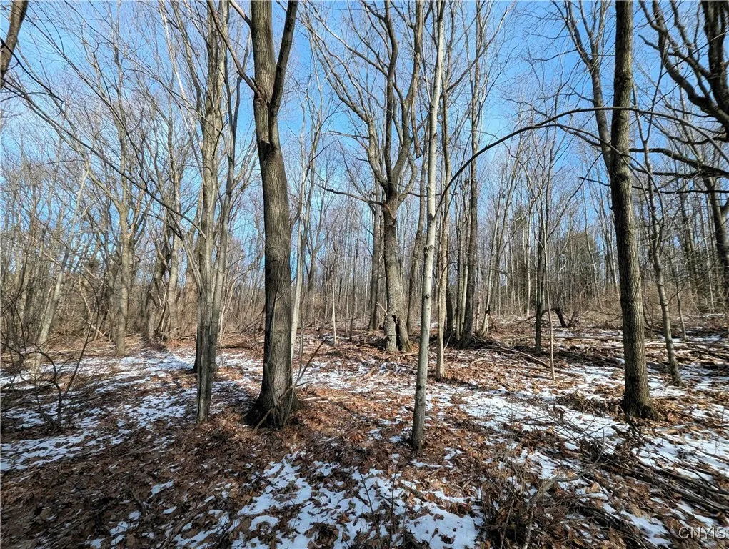 Markle Hollow Road, Corning, New York 14814, Corning, New York 14814, ,Land,Closed,Markle Hollow Road, Corning, New York 14814,0,S1592856