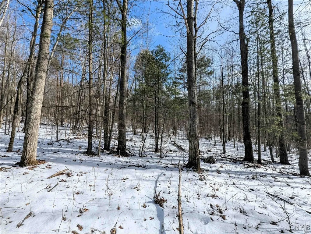 Markle Hollow Road, Corning, New York 14814, Corning, New York 14814, ,Land,Closed,Markle Hollow Road, Corning, New York 14814,0,S1592856