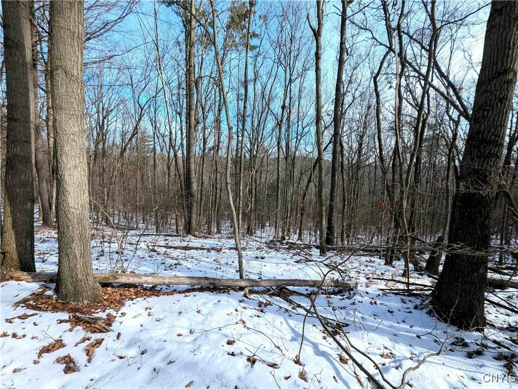Markle Hollow Road, Corning, New York 14814, Corning, New York 14814, ,Land,Closed,Markle Hollow Road, Corning, New York 14814,0,S1592856