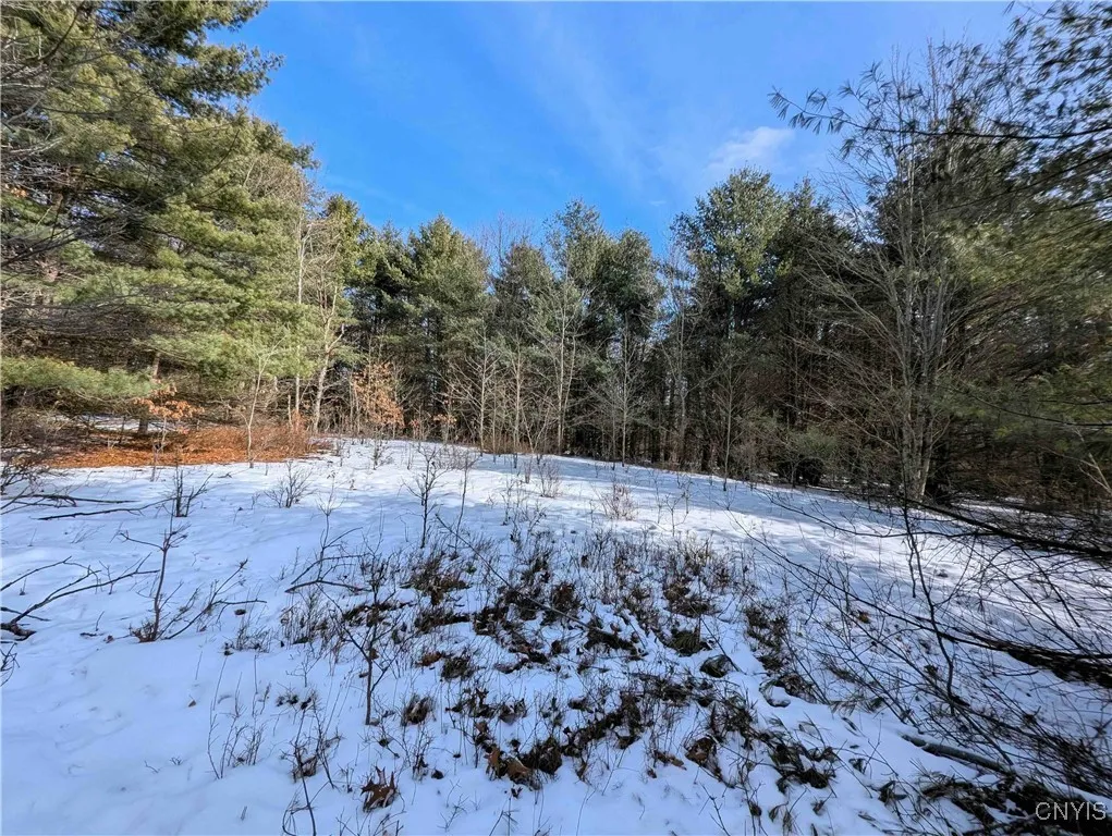 Markle Hollow Road, Corning, New York 14814, Corning, New York 14814, ,Land,Closed,Markle Hollow Road, Corning, New York 14814,0,S1592856
