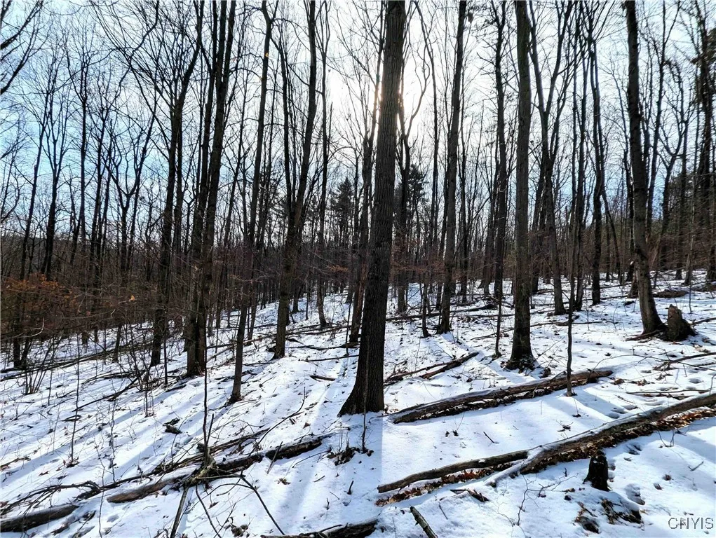 Markle Hollow Road, Corning, New York 14814, Corning, New York 14814, ,Land,Closed,Markle Hollow Road, Corning, New York 14814,0,S1592856