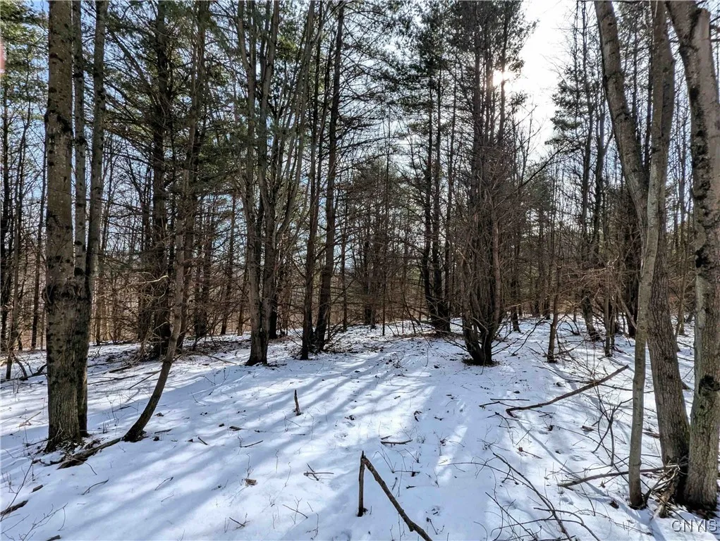Markle Hollow Road, Corning, New York 14814, Corning, New York 14814, ,Land,Closed,Markle Hollow Road, Corning, New York 14814,0,S1592856