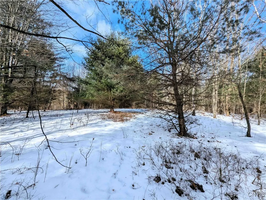 Markle Hollow Road, Corning, New York 14814, Corning, New York 14814, ,Land,Closed,Markle Hollow Road, Corning, New York 14814,0,S1592856