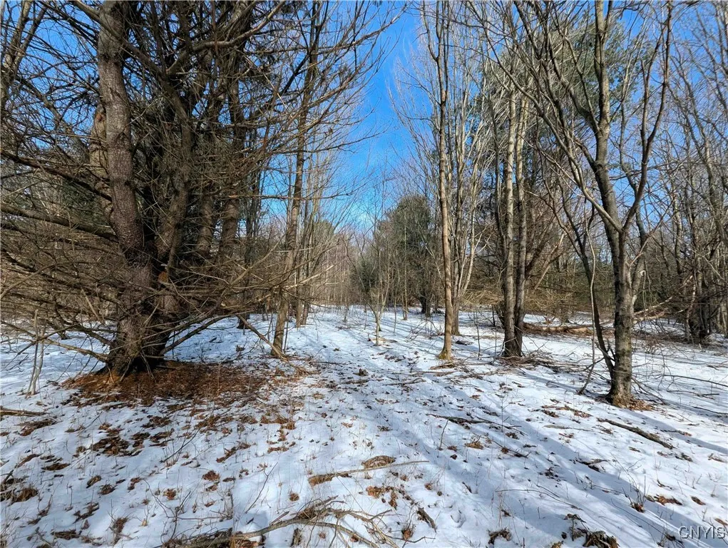 Markle Hollow Road, Corning, New York 14814, Corning, New York 14814, ,Land,Closed,Markle Hollow Road, Corning, New York 14814,0,S1592856