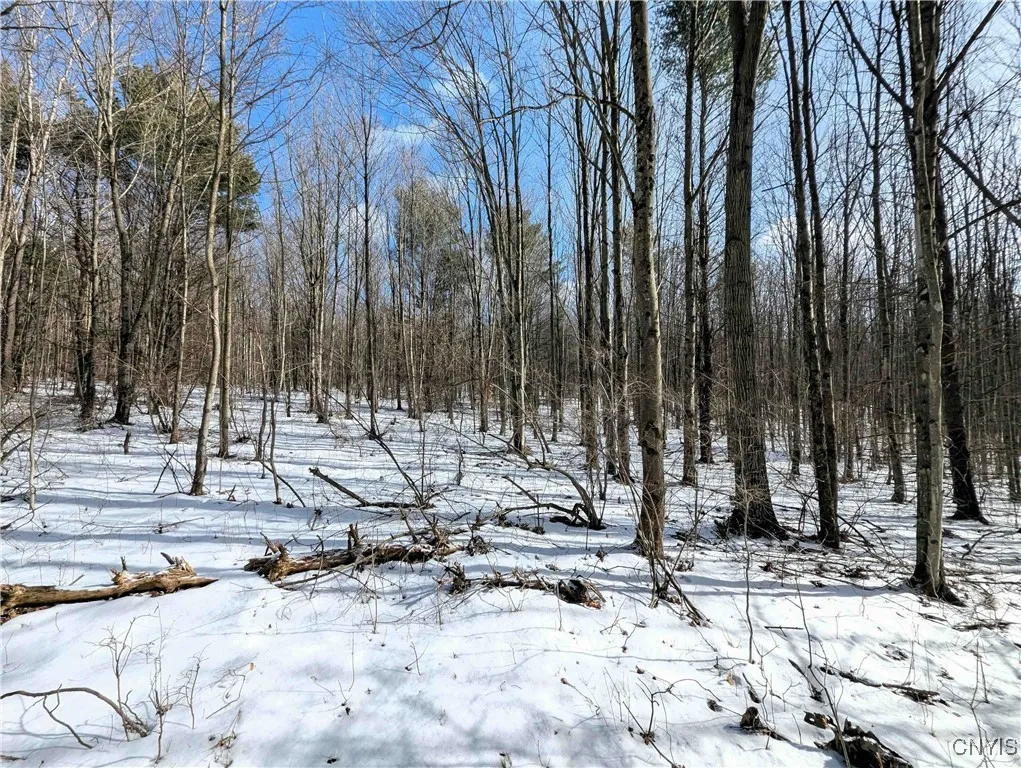 Markle Hollow Road, Corning, New York 14814, Corning, New York 14814, ,Land,Closed,Markle Hollow Road, Corning, New York 14814,0,S1592856