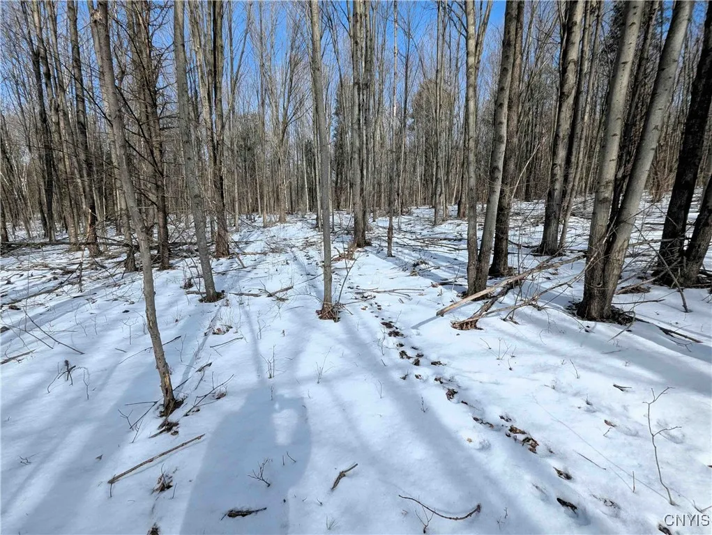 Markle Hollow Road, Corning, New York 14814, Corning, New York 14814, ,Land,Closed,Markle Hollow Road, Corning, New York 14814,0,S1592856