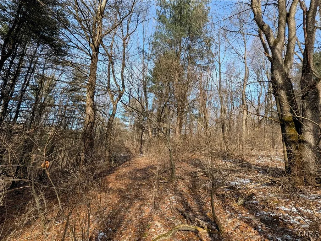 Markle Hollow Road, Corning, New York 14814, Corning, New York 14814, ,Land,Closed,Markle Hollow Road, Corning, New York 14814,0,S1592856