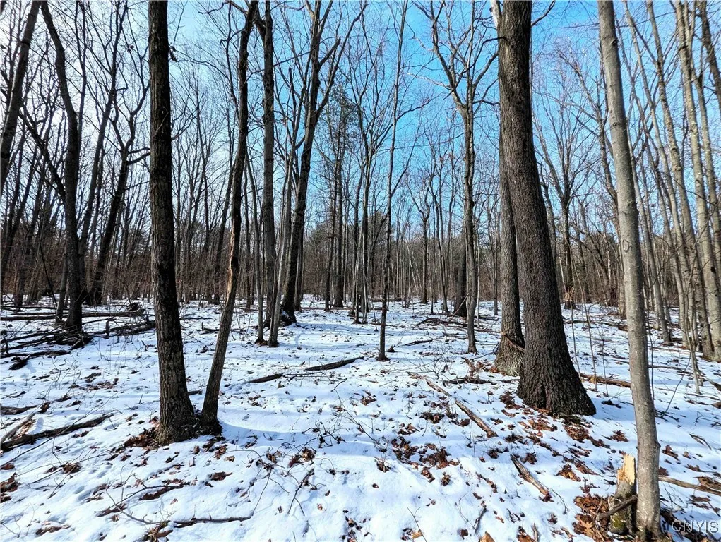 Markle Hollow Road, Corning, New York 14814, Corning, New York 14814, ,Land,Closed,Markle Hollow Road, Corning, New York 14814,0,S1592856