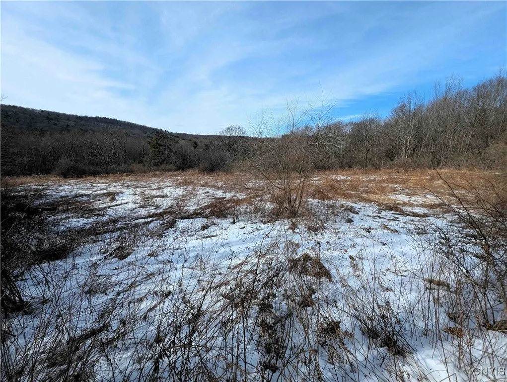 Markle Hollow Road, Corning, New York 14814, Corning, New York 14814, ,Land,Closed,Markle Hollow Road, Corning, New York 14814,0,S1592856