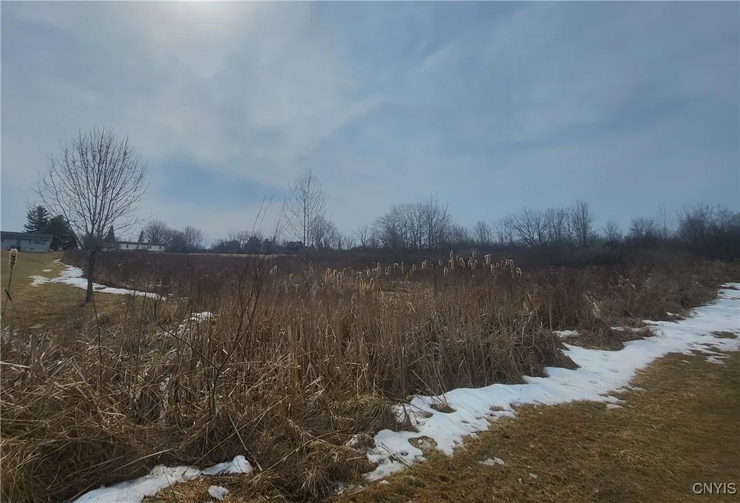 00 Breezy Pines Road, Clayton, New York 13624, Clayton, New York 13624, ,Land,Closed,00 Breezy Pines Road, Clayton, New York 13624,0,S1591886