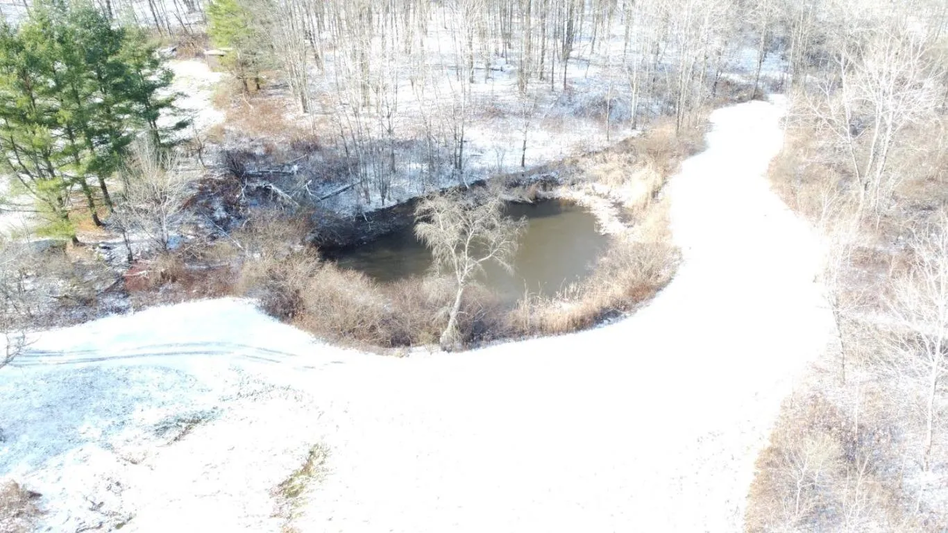 left side pond