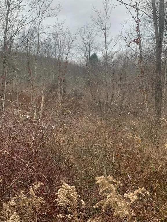 0 Phillips Odell Road, Guilford, New York 13809, Guilford, New York 13809, ,Land,For Sale,0 Phillips Odell Road, Guilford, New York 13809,0,R1591374