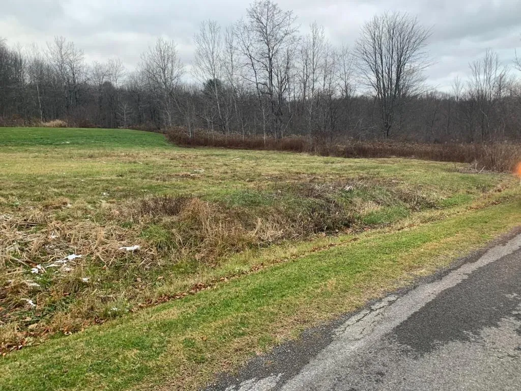 0 Phillips Odell Road, Guilford, New York 13809, Guilford, New York 13809, ,Land,For Sale,0 Phillips Odell Road, Guilford, New York 13809,0,R1591374